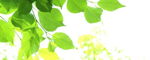 引越しラクっとNAVI販売サイトへ